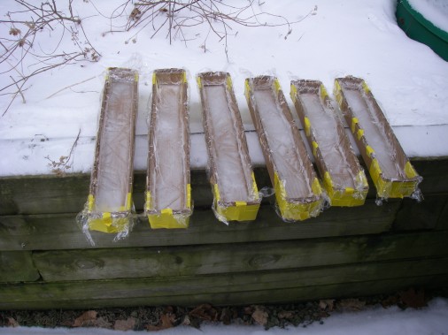 Freezing the Ice Bars for the Pagophone